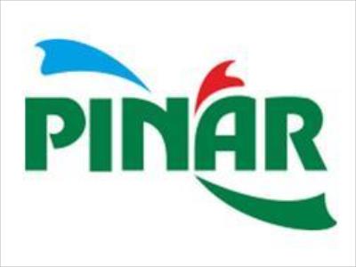 PINAR